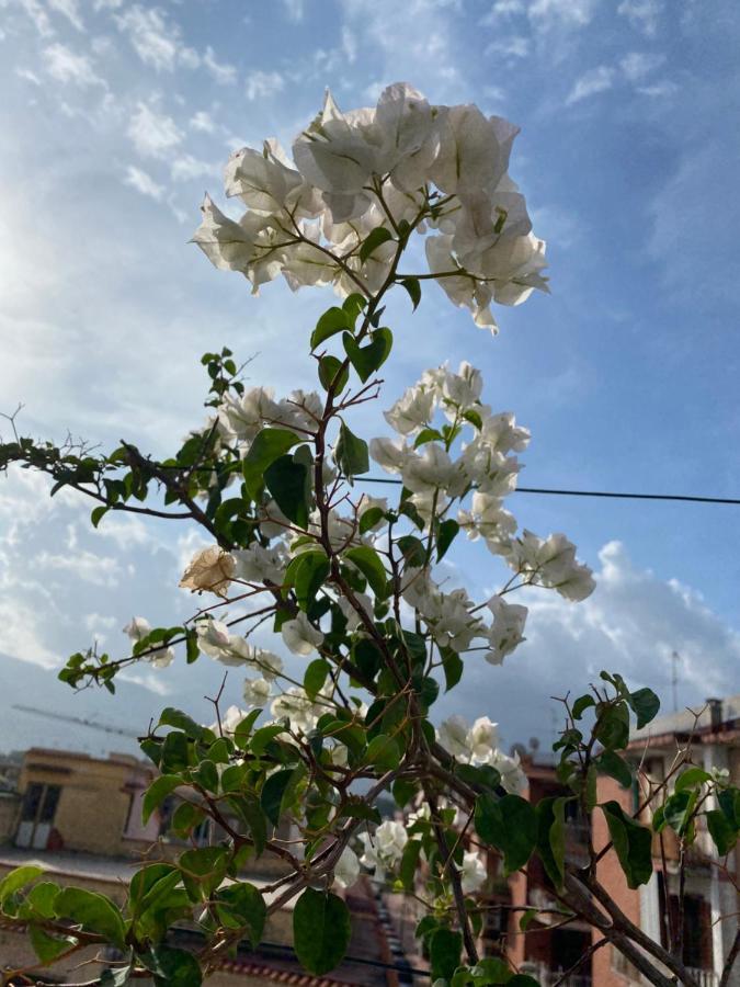 Pompei Terafi Home Luaran gambar